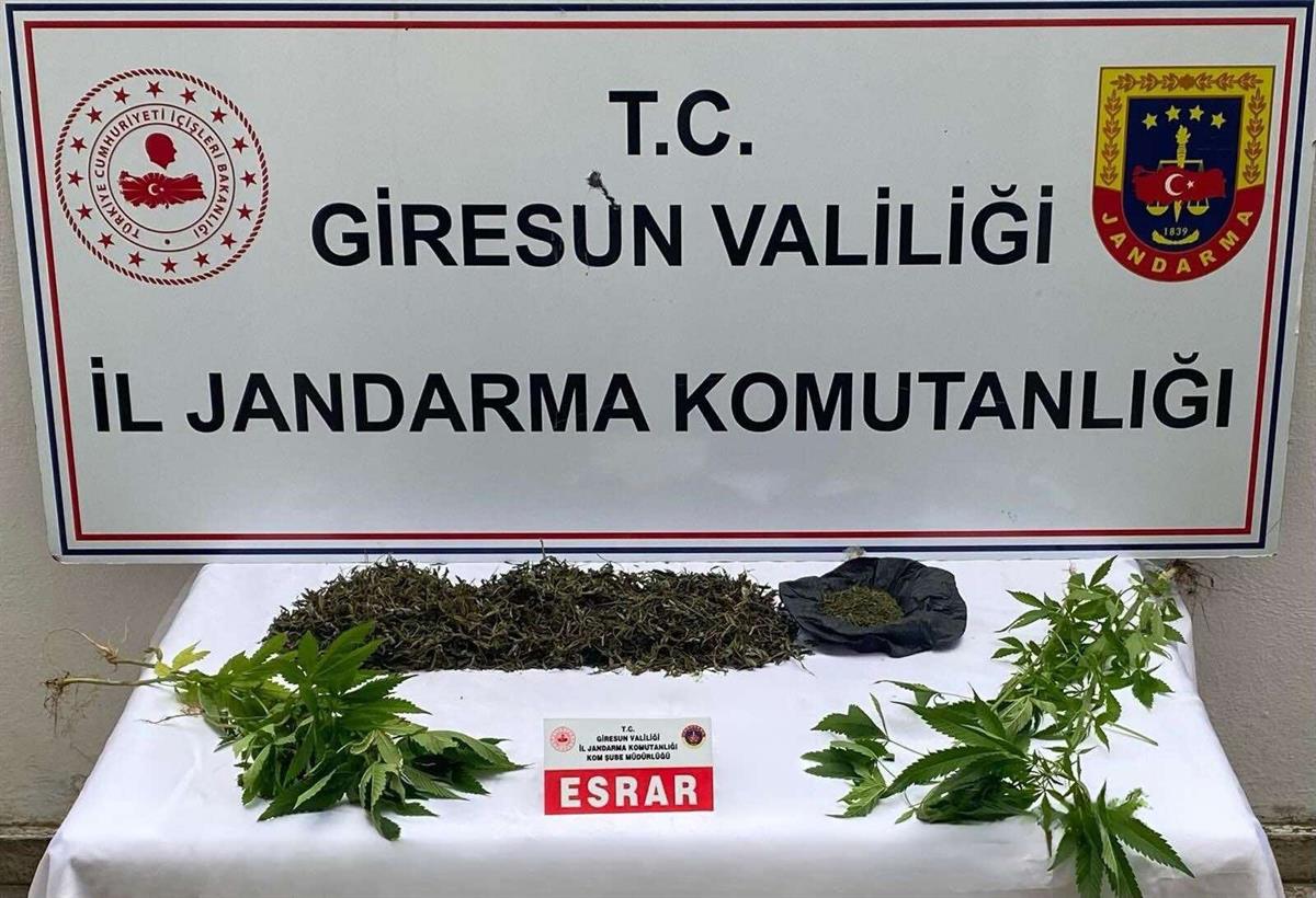 GİRESUNDA UYUŞTURUCU MADDELER İLE MÜCADELE DEVAM EDİYOR