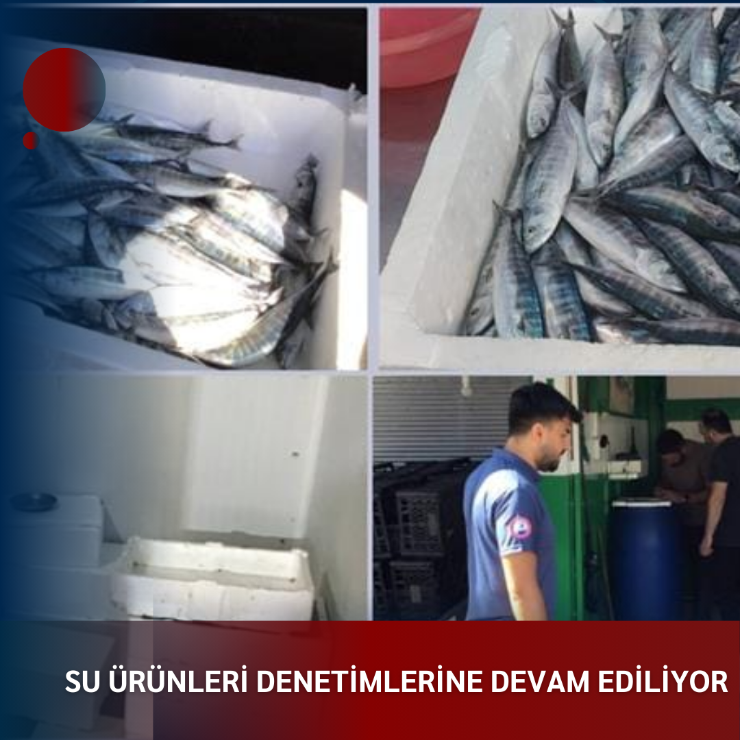 SU ÜRÜNLERİ DENETİMLERİNE DEVAM EDİLİYOR