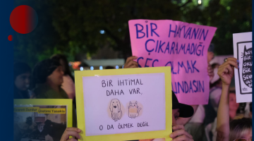 BAŞKAN KÖSE, HAYVANSEVERLERİN SESİNİ GİRESUN’DAN TÜRKİYE’YE DUYURDU! SOKAK HAYVANLARI YASASI İÇİN ANLAMLI KONSER