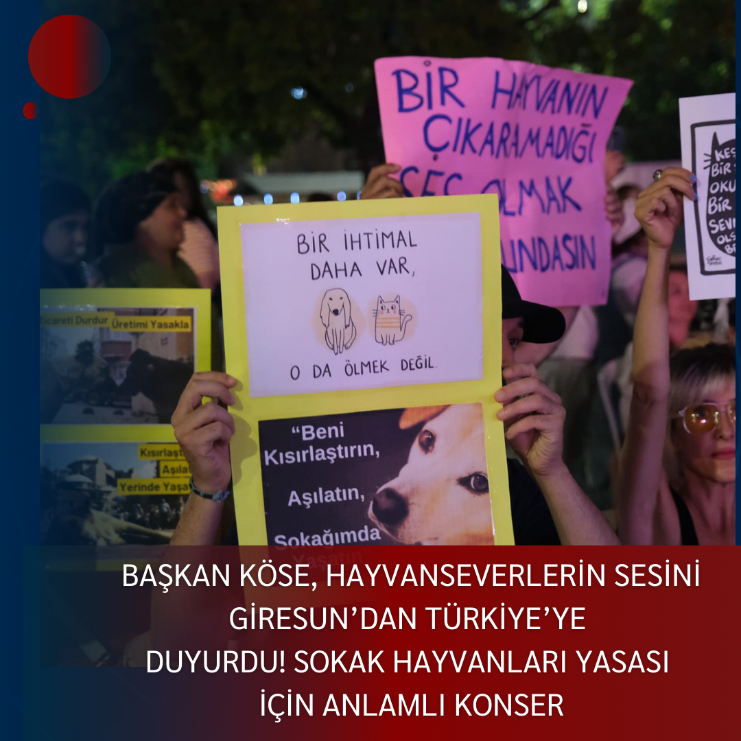 BAŞKAN KÖSE, HAYVANSEVERLERİN SESİNİ GİRESUN’DAN TÜRKİYE’YE DUYURDU! SOKAK HAYVANLARI YASASI İÇİN ANLAMLI KONSER