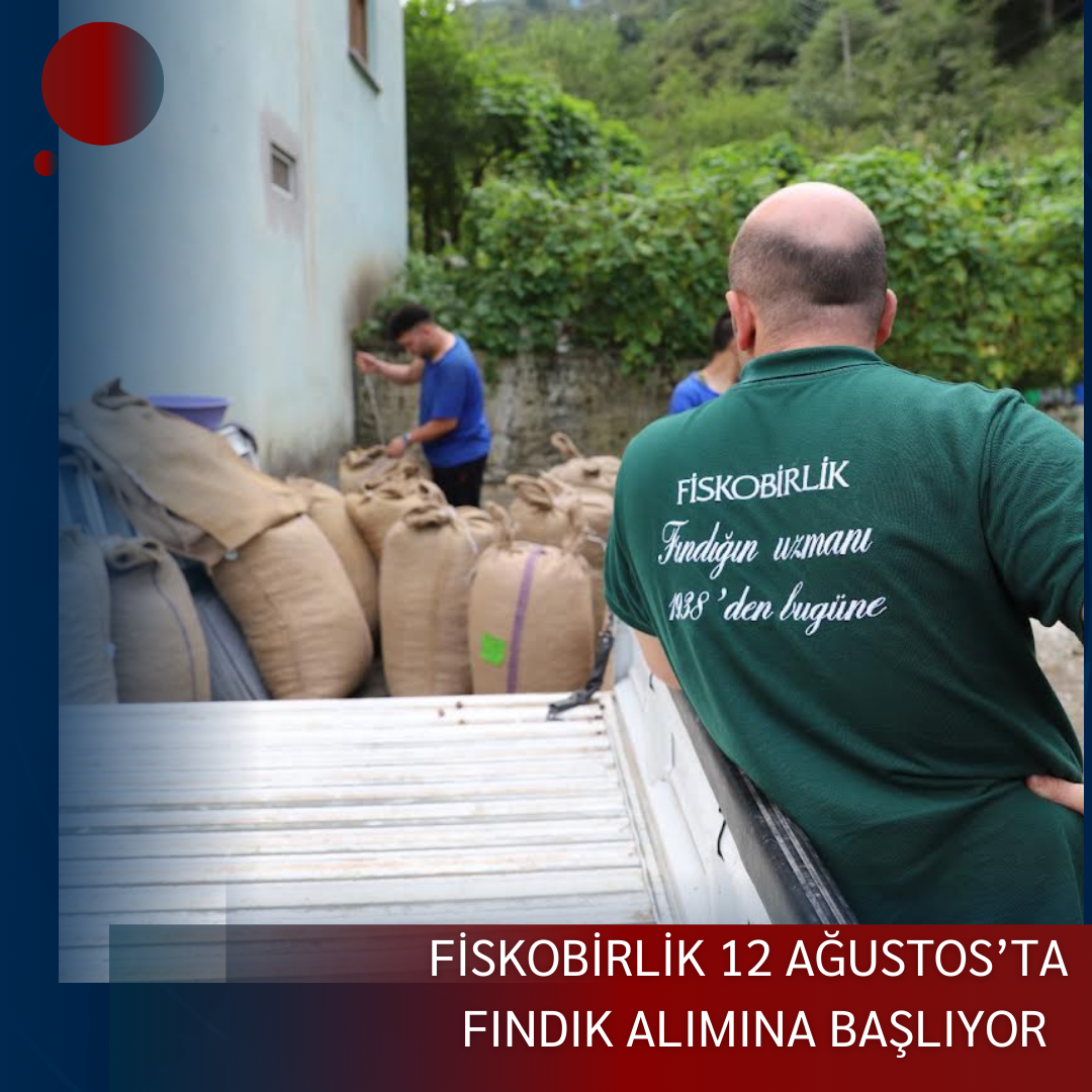 FİSKOBİRLİK 12 AĞUSTOS’TA FINDIK ALIMINA BAŞLIYOR