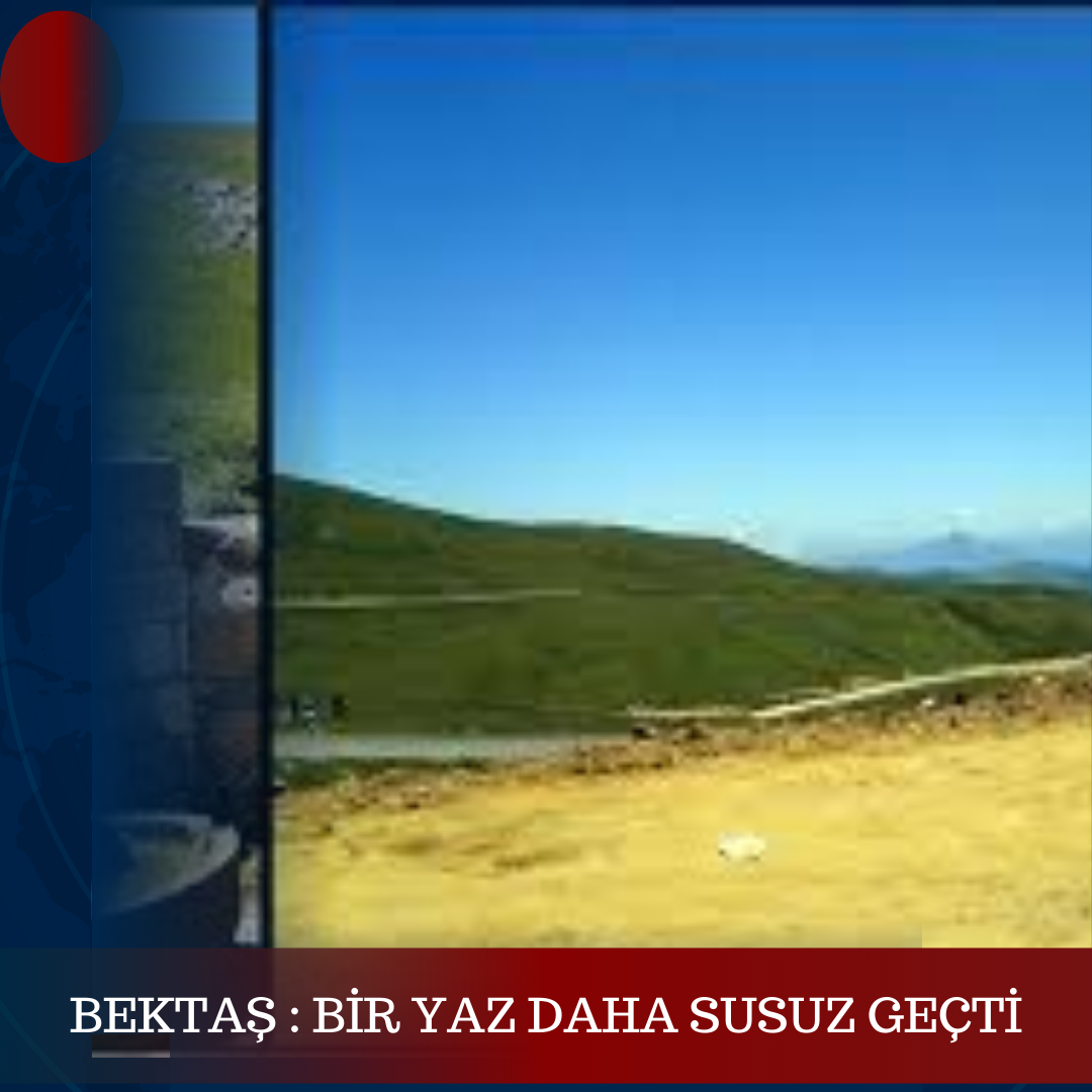 BEKTAŞ : BİR YAZ DAHA SUSUZ GEÇTİ