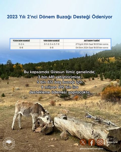 2023 YILI 2’NCİ DÖNEM BUZAĞI DESTEĞİ ÖDENİYOR