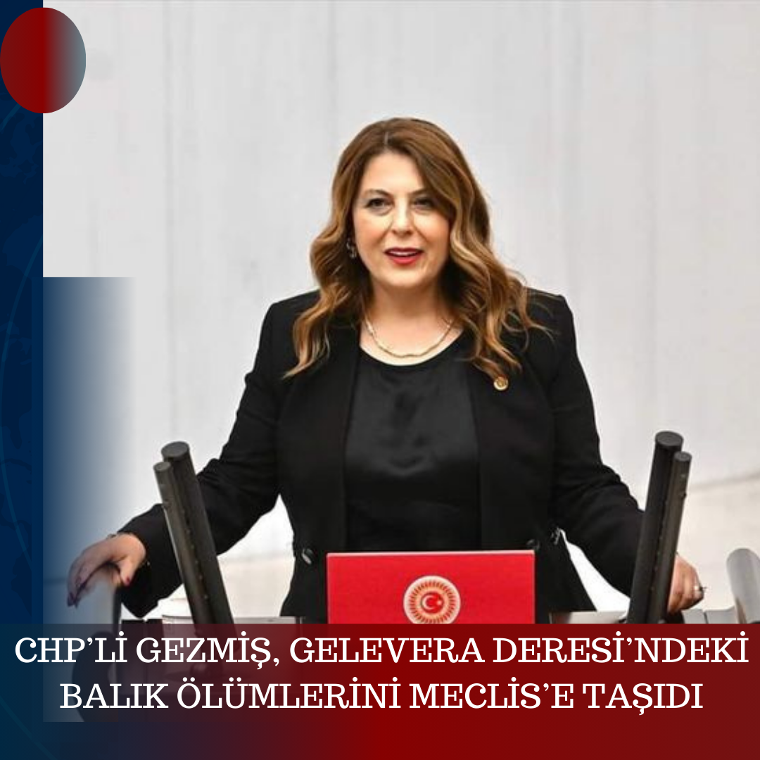 CHP’Lİ GEZMİŞ, GELEVERA DERESİ’NDEKİ BALIK ÖLÜMLERİNİ MECLİS’E TAŞIDI