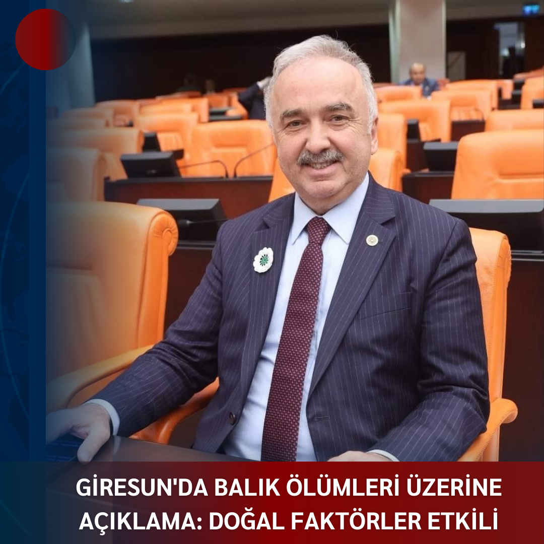 GİRESUN’DA BALIK ÖLÜMLERİ ÜZERİNE AÇIKLAMA: DOĞAL FAKTÖRLER ETKİLİ