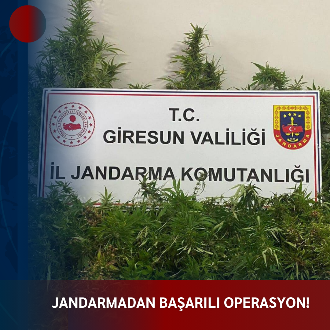 JANDARMADAN BAŞARILI OPERASYON!