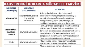 KAHVERENGİ KOKARCA İLE MÜCADELE TAKVİMİ AÇIKLANDI