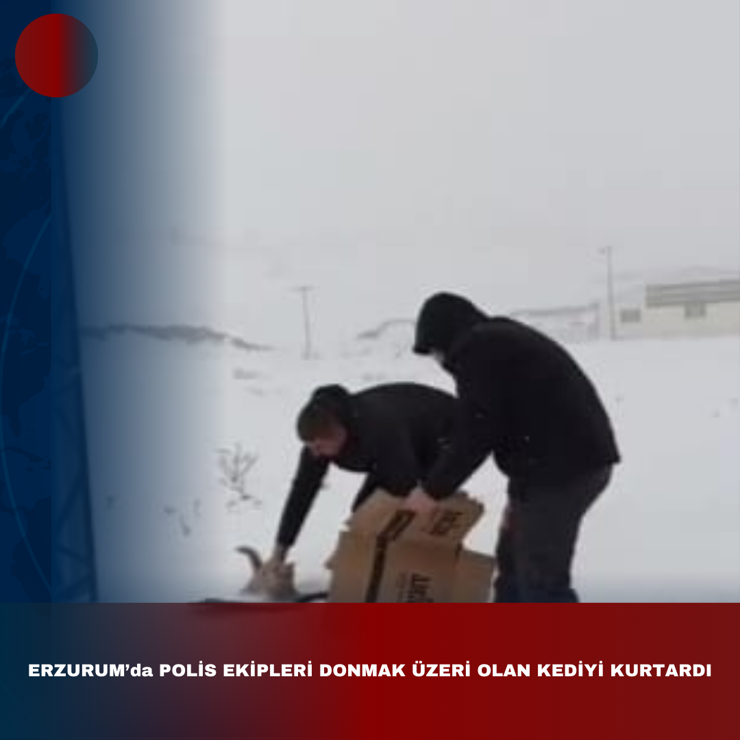 ERZURUM’da POLİS EKİPLERİ DONMAK ÜZERE OLAN KEDİYİ KURTARDI