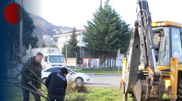 KAVŞAKLARA, PARKLARA VE ŞEHİRDEKİ BOŞ ALANLARA FINDIK OCAKLARI DİKİLİYOR