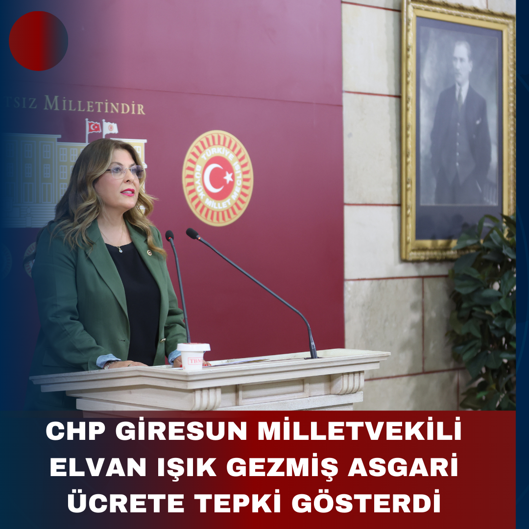 CHP GİRESUN MİLLETVEKİLİ ELVAN IŞIK GEZMİŞ ASGARİ ÜCRETE TEPKİ GÖSTERDİ