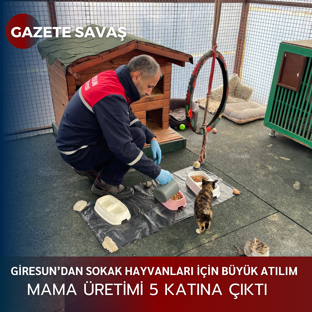 GİRESUN’DAN SOKAK HAYVANLARI İÇİN BÜYÜK ATILIM: MAMA ÜRETİMİ 5 KATINA ÇIKTI