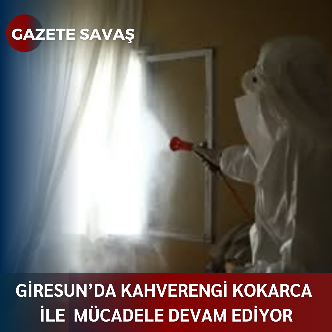 GİRESUN’DA KAHVERENGİ KOKARCA İLE MÜCADELE DEVAM EDİYOR