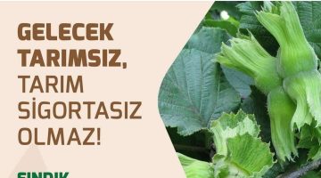 FINDIĞIMIZI KORUYALIM !