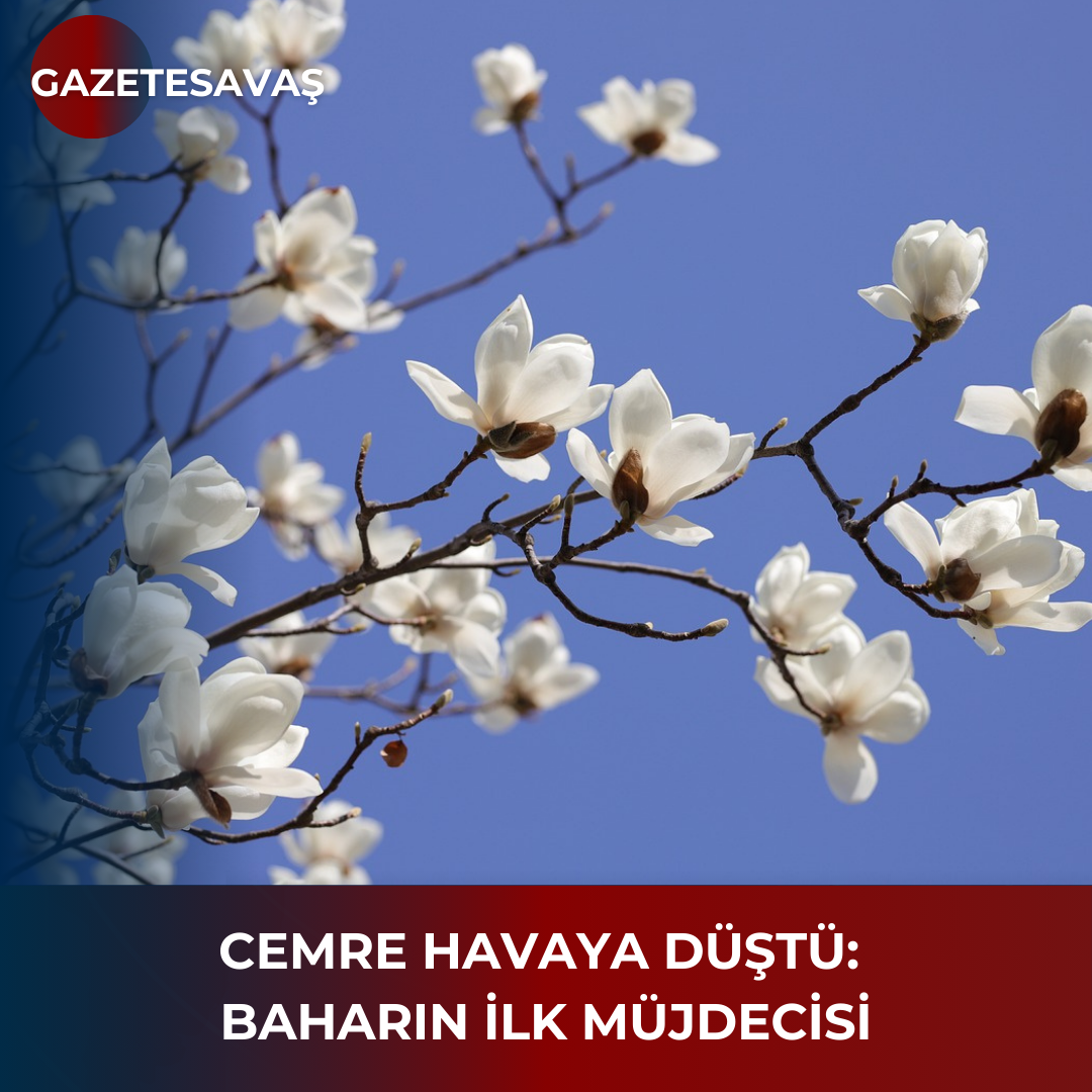 CEMRE HAVAYA DÜŞTÜ: BAHARIN İLK MÜJDECİSİ