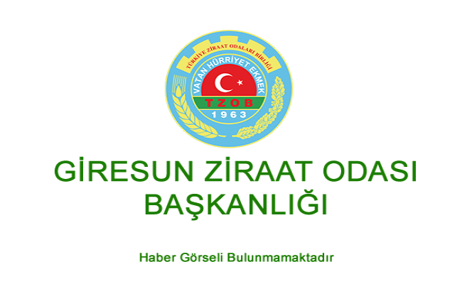 GİRESUN ZİRAAT ODASI BAŞKANI NURİTTİN KARAN’DAN SERT FINDIK ÇIKIŞI: “ÜRETİCİ ERİYOR”
