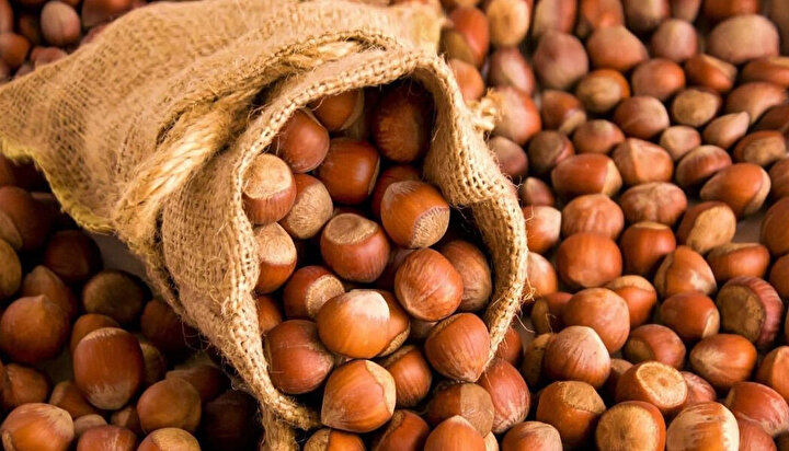 FINDIK PİYASASINDA TARİHİ DALGALANMA: FİYATLAR 200 LİRANIN ALTINI GÖRDÜ