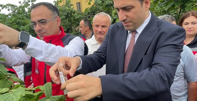 BULANCAK’TA TARIMSAL SEFERBERLİK: KAHVERENGİ KOKARCAYA KARŞI SAMURAY ARILARI DOĞAYA SALINDI