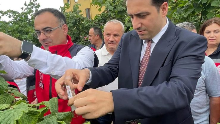BULANCAK’TA TARIMSAL SEFERBERLİK: KAHVERENGİ KOKARCAYA KARŞI SAMURAY ARILARI DOĞAYA SALINDI
