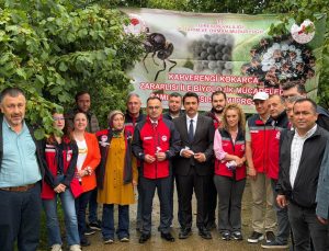 YAĞLIDERE’DE KAHVERENGİ KOKARCA İLE BİYOLOJİK MÜCADELE: SAMURAY ARILARI DOĞAYA SALINDI