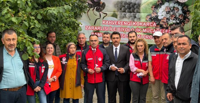 YAĞLIDERE’DE KAHVERENGİ KOKARCA İLE BİYOLOJİK MÜCADELE: SAMURAY ARILARI DOĞAYA SALINDI