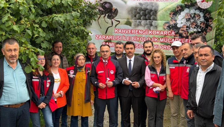 YAĞLIDERE’DE KAHVERENGİ KOKARCA İLE BİYOLOJİK MÜCADELE: SAMURAY ARILARI DOĞAYA SALINDI