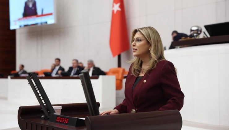 MİLLETVEKİLİ GEZMİŞ’TEN TMO’NUN FINDIK FİYATINA SERT TEPKI