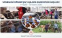 Sonbahar Dönemi Şap Aşılama Kampanyası Başladı